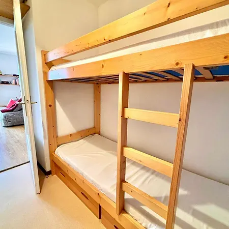 Apartment Skis Aux Pieds Avec Balcon Et Animaux Admis - Fr-1-432-89 *