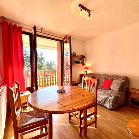 Skis Aux Pieds Avec Balcon Et Animaux Admis - Fr-1-432-89 Apartment