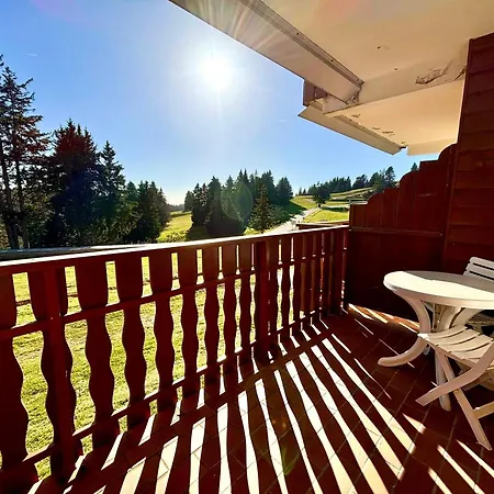Apartment Skis Aux Pieds Avec Balcon Et Animaux Admis - Fr-1-432-89 *